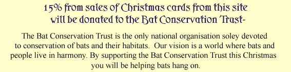 Help us to support the bat conservation trust